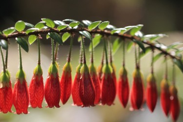 中山南头私人快速借钱网，轻松解决资金难题