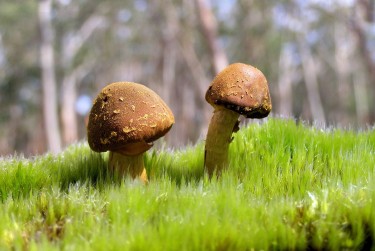 中山南头私人老板放款：轻松融资的秘密通道